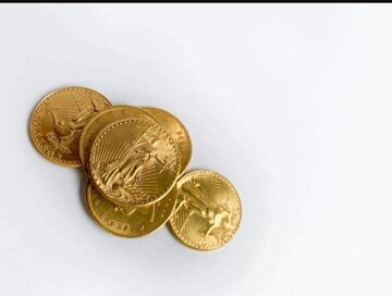 22K Gold Coin – 10g