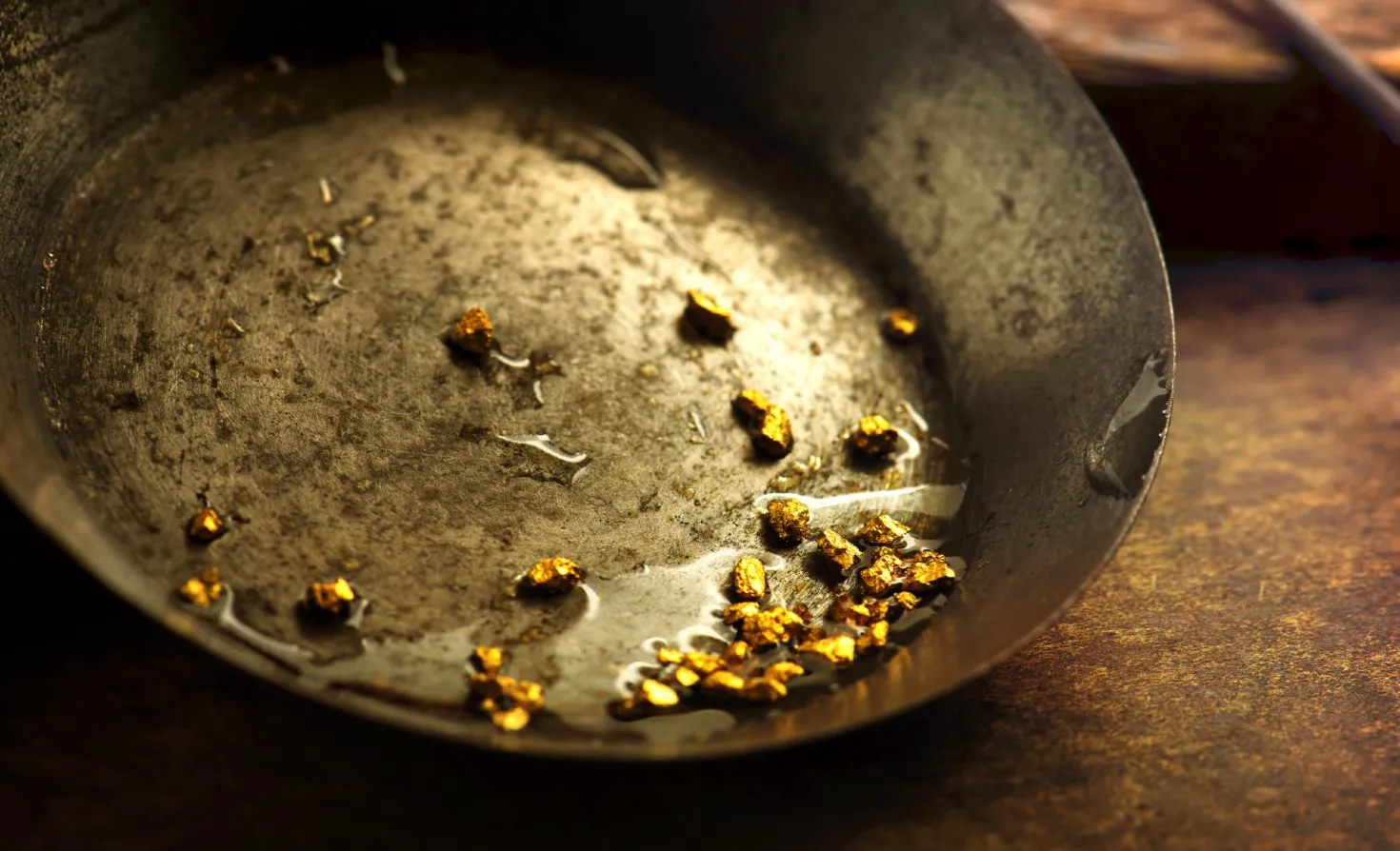 Gold Mining Pan