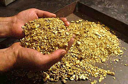 Gold Dust – 50g